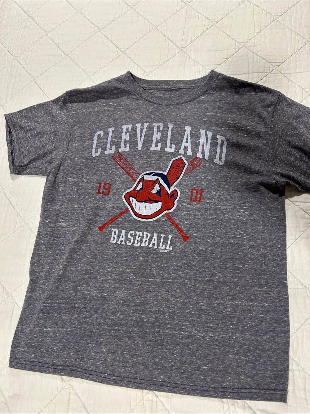 Stitches Gray Cleveland Baseball Tee with Red Graphic